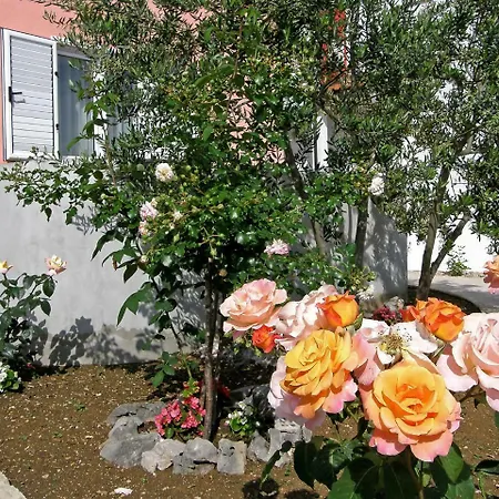 Maslina-1 By Interhome