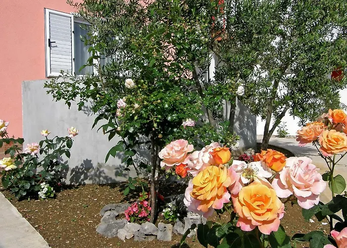 Maslina-1 By Interhome