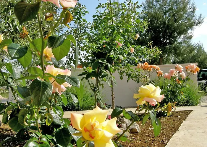 Maslina-1 By Interhome Srima